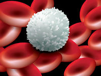 Как да се повиши на белите кръвни клетки в кръвта на народната медицина и продукти