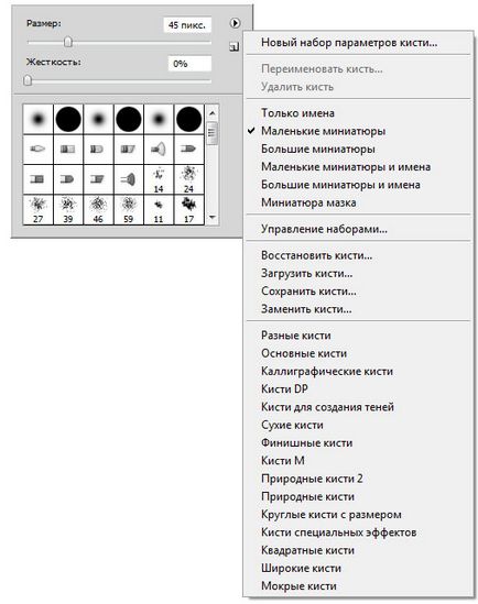 Как да използвате четката (четка) Как да използвате четката