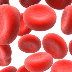 Как да се намали нивото на хемоглобина в кръвта у дома