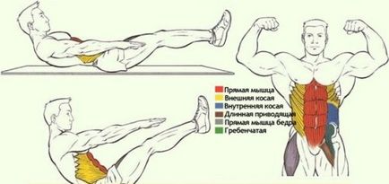 Как да се изгради мускул у дома упражнение