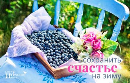 Как да се замразява плодове за зимата, блог Iriny Zaytsevoy