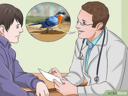 Как да се грижи за ранени диви птици, които не могат да летят