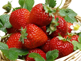 Как да спечелим пари в развиващите се и продажбата на ягоди, блог за градината и градината