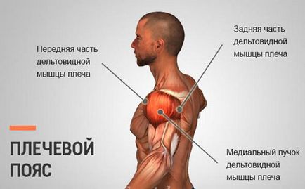 Комплекс от основните упражнения с гирички у дома за мъже и жени