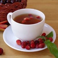 Koporye ползи и вреди чай, рецептата у дома