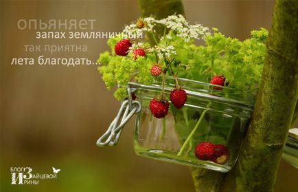 Красиви стихове за лятото, блог Iriny Zaytsevoy