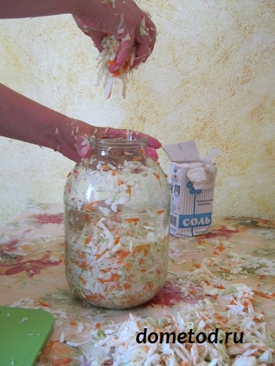 Кисело зеле у дома, на път за вкъщи (кисело зеле) Кисело зеле у дома, на път за вкъщи