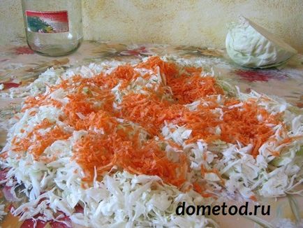 Кисело зеле у дома, метод, основаващ се у дома () Кисело зеле у дома, на път за вкъщи