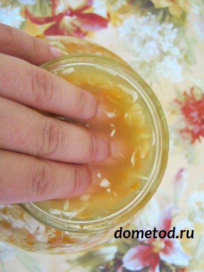 Кисело зеле у дома, на път за вкъщи (кисело зеле) Кисело зеле у дома, на път за вкъщи
