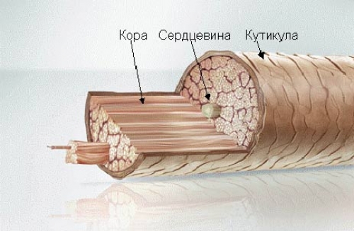 Маски за коси в най-ефективните рецепти начало usloviyah-