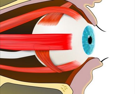 Жданов метод за възстановяване на зрението