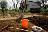 Нахранете почвата! Как да си направим земята по-плодородна в страната, градина, вила, аргументи и факти
