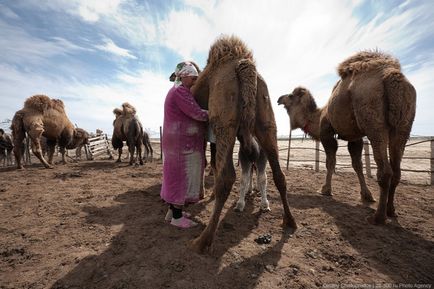 Неподсладено узбеки живеят (32 снимки)