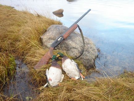 На лов за патица през есента и пролетта от лодката, с подхода на пълнени, как да се стреля по време на полет