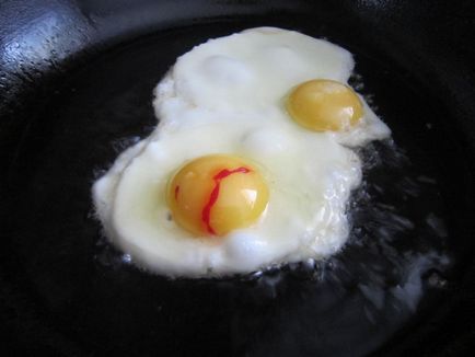 Защо има кръв в пилешки яйца причините за проблема и неговите решения