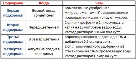 Поливане и торене ягоди толкова, давайки