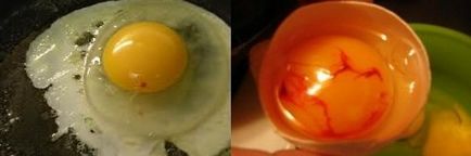 Причини за възникване на кръв в пилешко яйце или обвивката, заобиколни