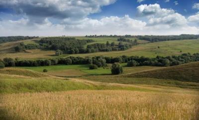 Plains характеристики и видове