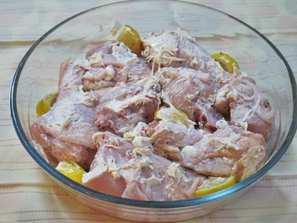 Шишчета от пиле - най-вкусните в марината месото, за да получите меки и сочни шишчета от пилешко месо