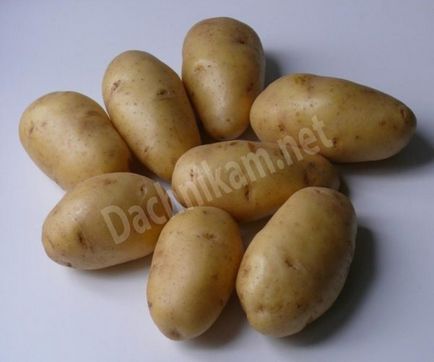 сортове картофи по азбучен ред на снимки и описание, cottagers