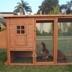 Съвети за подреждане на готовата кокошарника, ограда и монтаж кутия за пилета