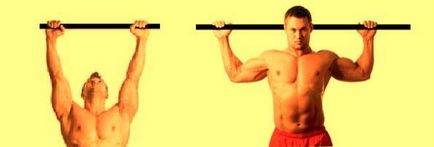 Упражнения за мускулите на гърба, най-добрите упражнения за гръб