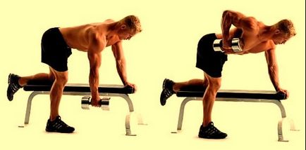 Упражнения за мускулите на гърба, най-добрите упражнения за гръб