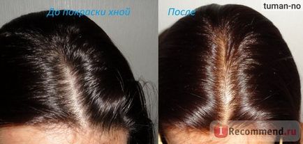 Къна за коса Фитокозметика ирански природен - 