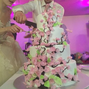 Поръчайте сватбени торти във формата на машини жена си с доставка в Москва