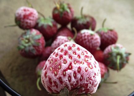 Замразени ягоди как да замръзват ягоди през зимата у дома - susekam