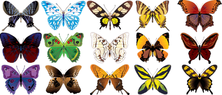 Butterfly е кой или какво Butterfly е кой или какво