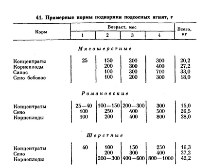 Какво да пасе овцете на Какво да пасе овцете на