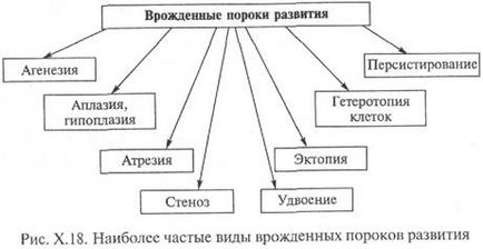 Какво е ендогенни фактори