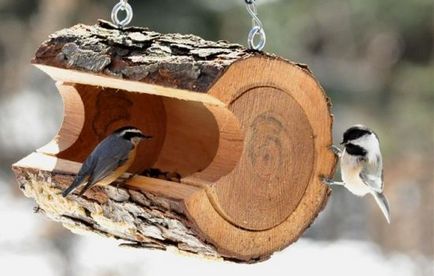 Осъществяване хранилки за птици със собствените си ръце
