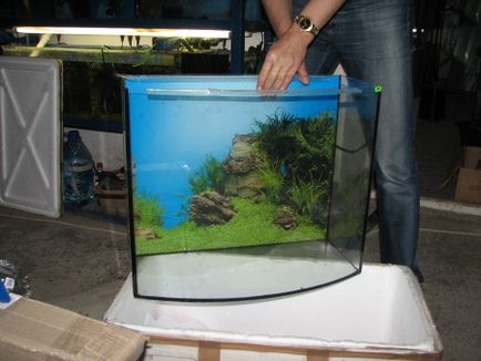 Предшестващо състояние на аквариум като паста