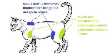 Както пронизваща Ябс котки