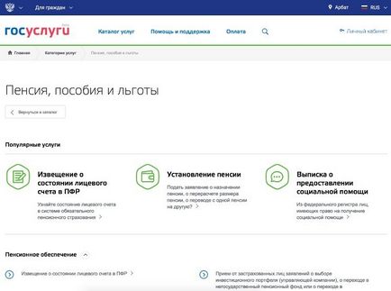 Как да проверите SNILS чрез интернет