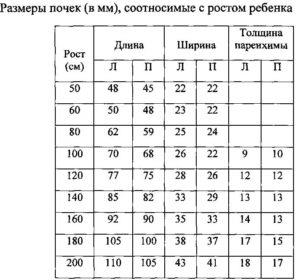 Бъбречното легенче и какво е