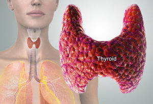 Щитовидната жлеза може да бъде болен