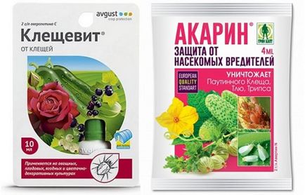 Как да се отървем от кърлеж по растенията Как да се отървем от кърлеж по растенията