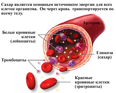 Това се отнася за продукти, въглехидрати, които