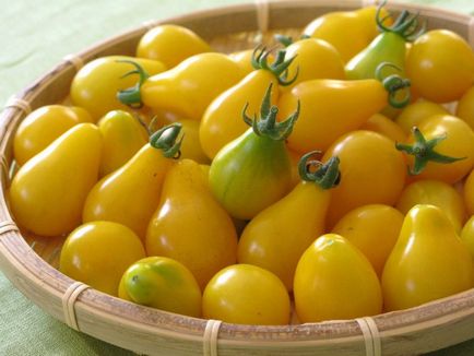 Степен жълт домат