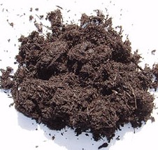 6 съвета за подобряване на състава на почвата за отглеждане на растения