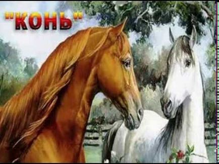 Александър Malinin - бял кон е