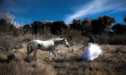 Белият кон за булката - да направят сватбата творчески, неподражаем и изключителен