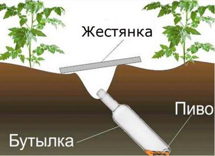 Борбата срещу Medvedkov, градината - табели, методи