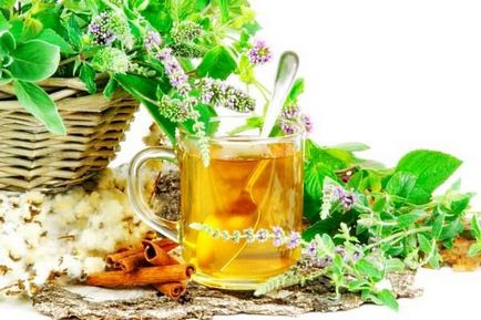 Чай с градински чай полза и вреда, как да се пие (рецепта)
