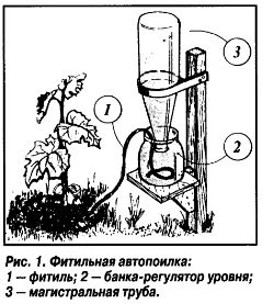 Четири начини за поливане на градината - дали в сюжетната линия