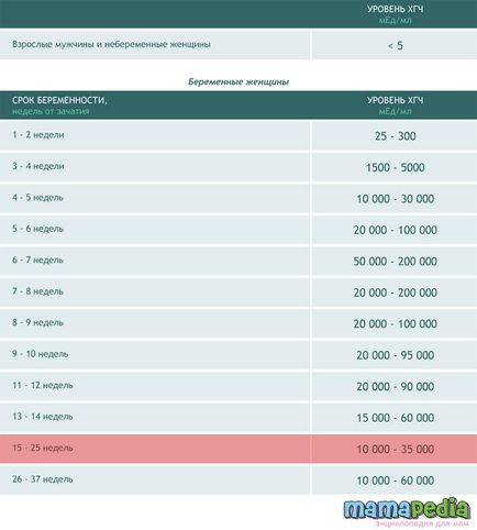 Какво е вътре вагината на жената