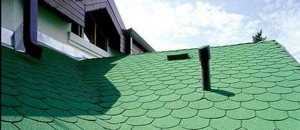 Какво е гъвкава херпес зостер предимства на този материал за покриви
